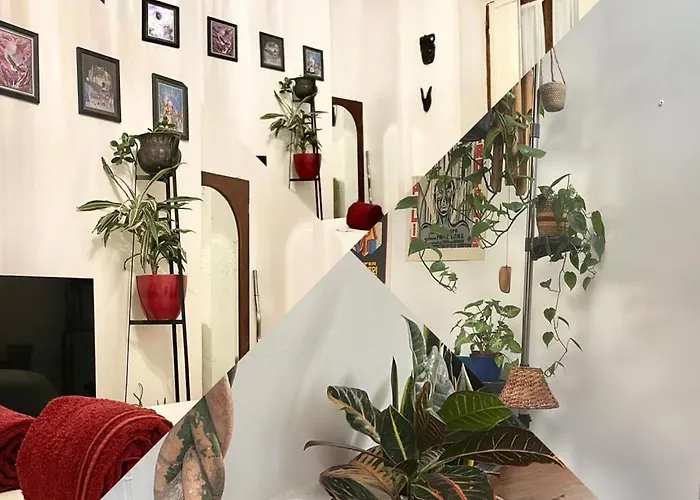 La Stanza Della Giungla