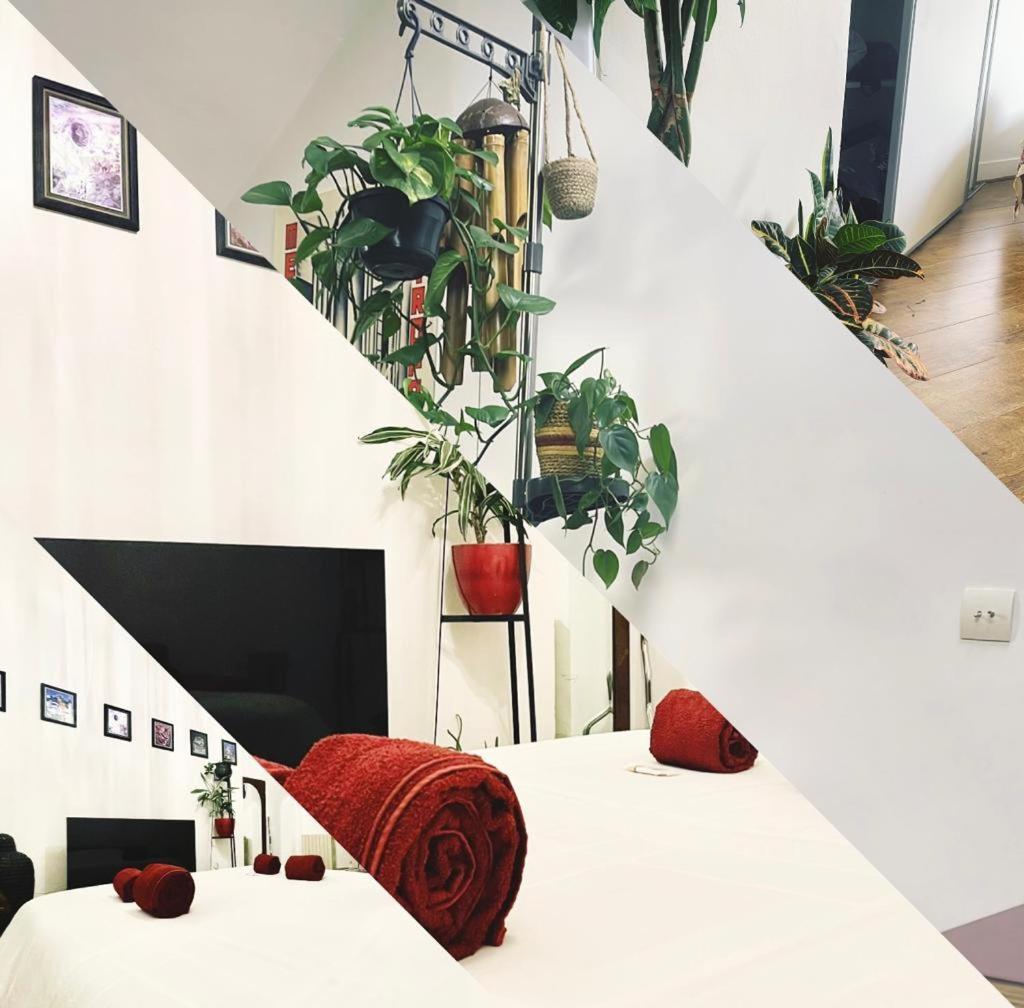 La Stanza Della Giungla Homestay *