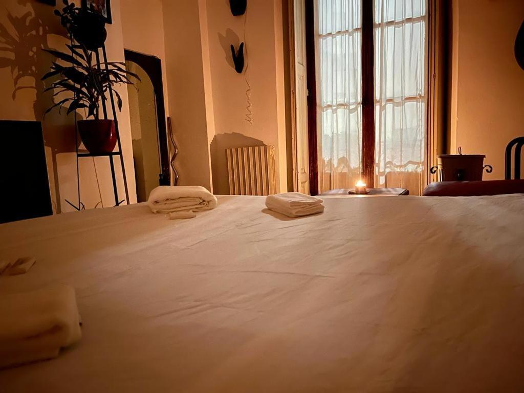 La Stanza Della Giungla Homestay Milan